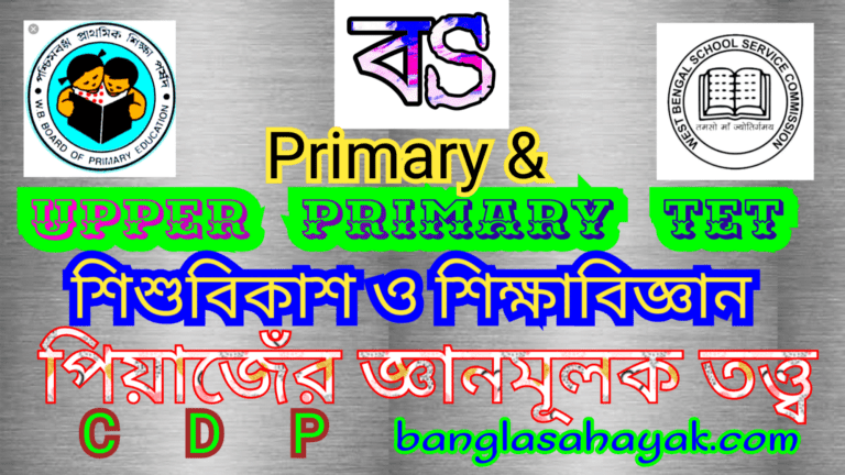 পিয়াজেঁর জ্ঞানমূলক বিকাশ তত্ত্ব |Congnitive development of Piaget |Child Development & Pedagogy